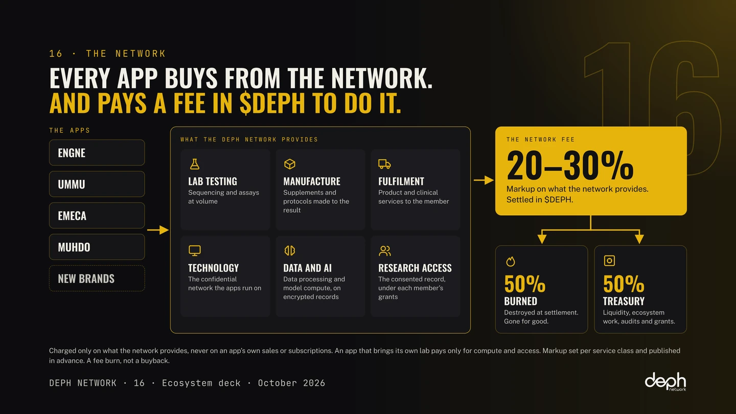 DEPH Network ecosystem deck, slide 16: The network