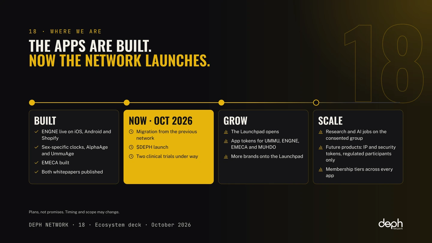 DEPH Network ecosystem deck, slide 18: Where we are